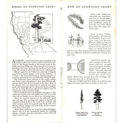 1960 The Story of the Redwood Lumber Industry California Travel Brochure TH9-CB