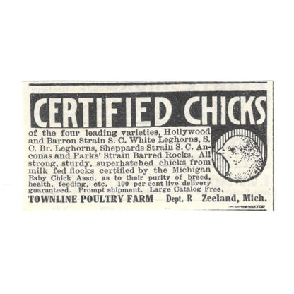 Townline Poultry Farm Certified Chicks Zeeland Michigan 1924 Ad AG3-S3