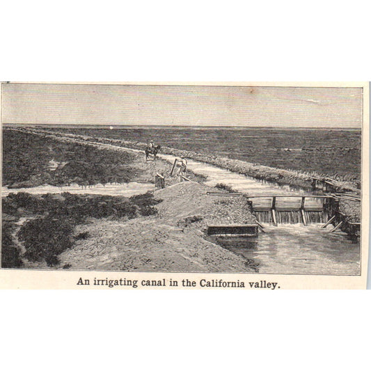 Irrigating Canal in California Valley 1901 Engraving AF2-O3