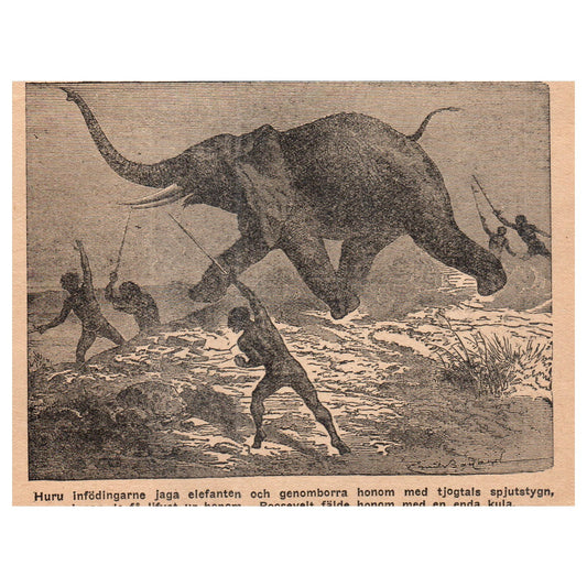 Natives Chasing Elephant 1909 Swedish Engraving Print AF5-13