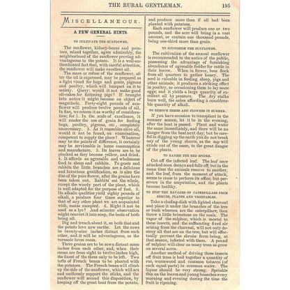 Language of Flowers by J.T. Duquett 1867 Article AG9-5