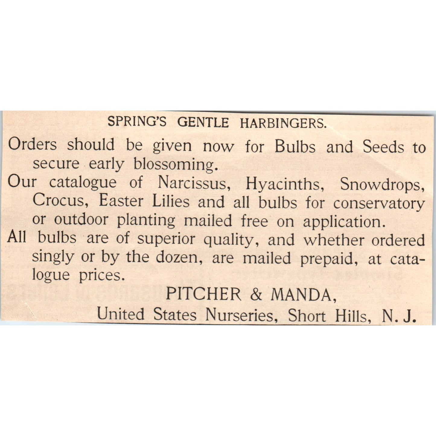 Pitcher & Manda Seeds & Bulbs US Nurseries Short Hills NJ 1892 Ad AK5-H8