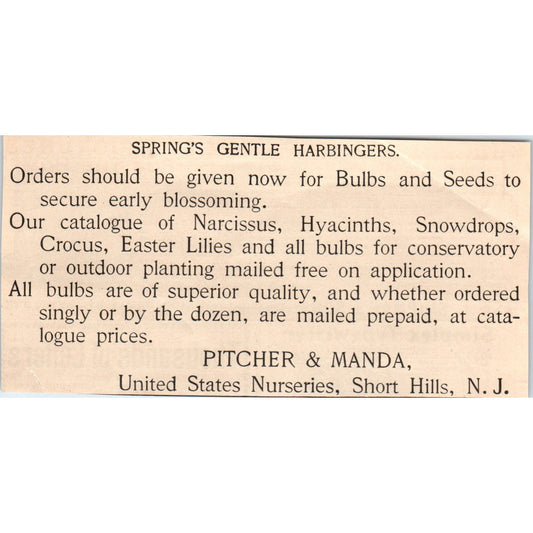 Pitcher & Manda Seeds & Bulbs US Nurseries Short Hills NJ 1892 Ad AK5-H8