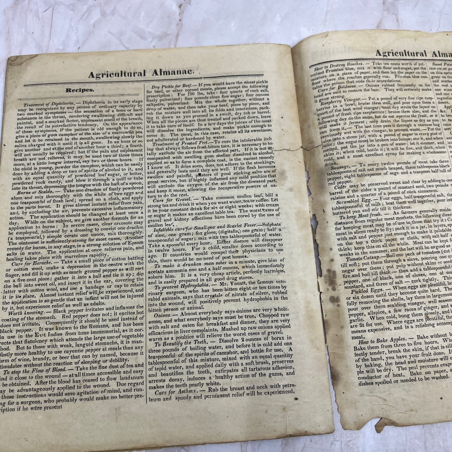 1869 Agricultural Almanac Lancaster PA John Baer’s Sons TF5