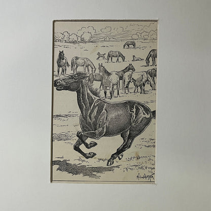 Antique Engraving Black Horse Stallion H. Von Horsten Matted Art Print 10x12 V5
