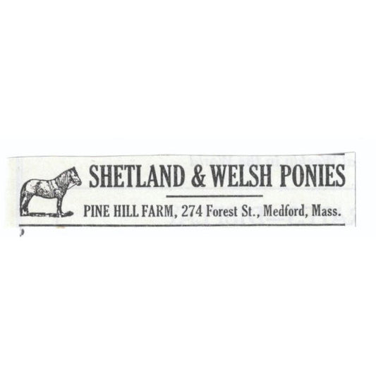 Shetland & Welsh Ponies Pine Hill Farm Medford MA 1913 Magazine Advert AE7-N8