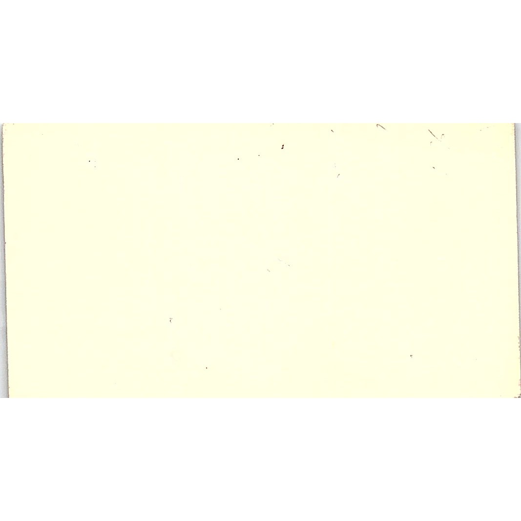 Goldbug Karat Gold Fashion Idell A. Klein Wayzata Vintage Business Card SF3-B9