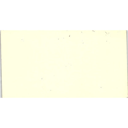 Goldbug Karat Gold Fashion Idell A. Klein Wayzata Vintage Business Card SF3-B9