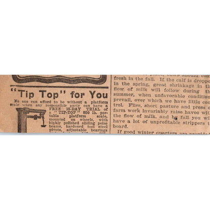 Arlington Tested Seeds W.W. Rawson & Co Boston MA 1905 Magazine Ad AF1-NH3