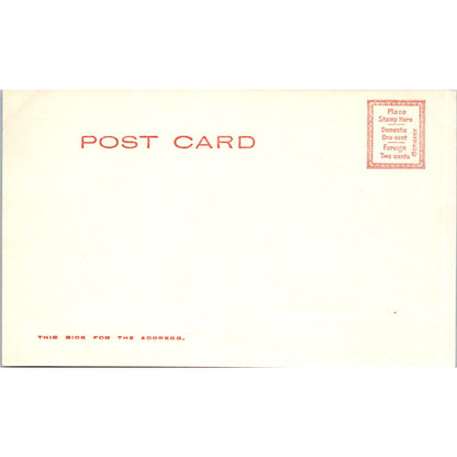 c1905 Adam's Store S.B. Robinson Belmont MA Antique Unused Postcard PC7