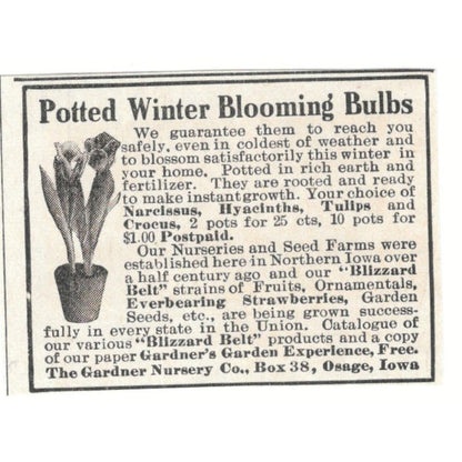 Potted Winter Blooming Bulbs Gardner Nursery Osage IA 1918 Magazine Ad AF1-SS3