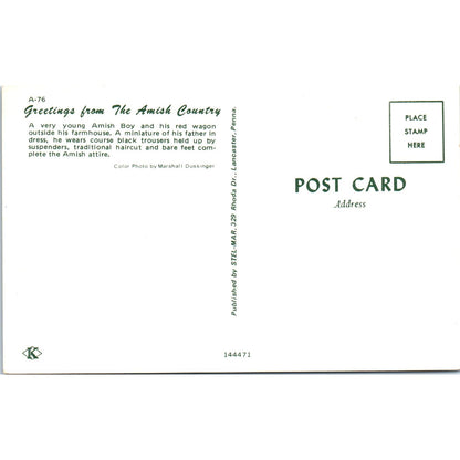 Young Amish Boy and his Red Wagon Pennsylvania Dutch Country Postcard PD8