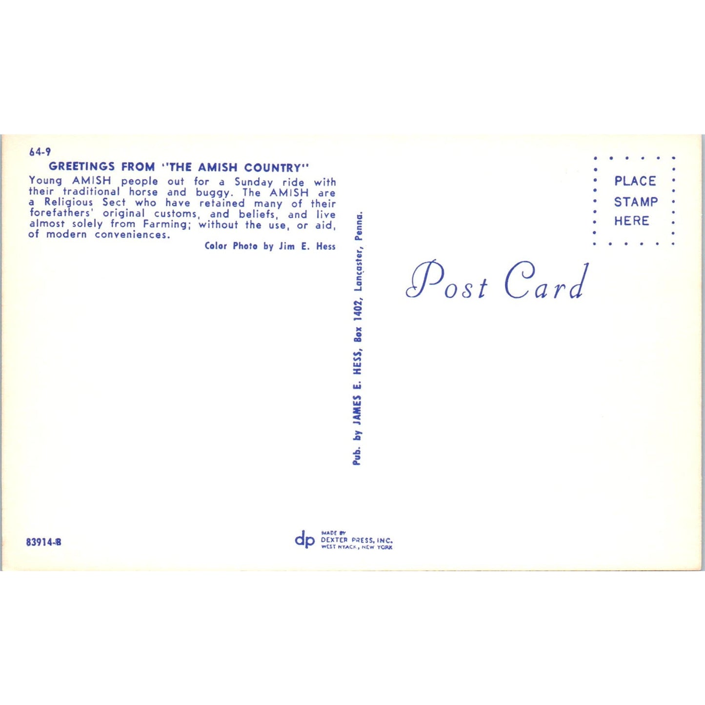 Young Amish People on Sunday Buggy Ride Pennsylvania Dutch Country Postcard PD8