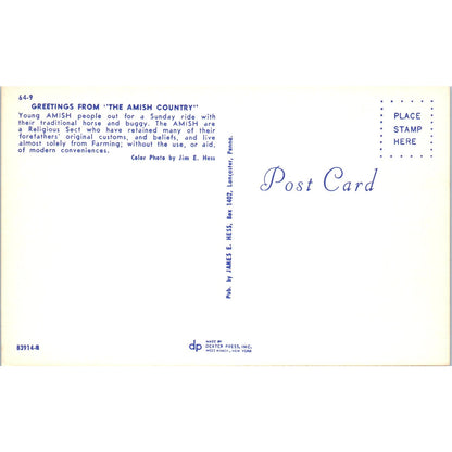 Young Amish People on Sunday Buggy Ride Pennsylvania Dutch Country Postcard PD8