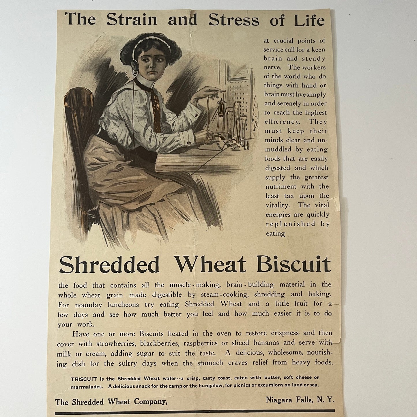 Shredded Wheat Company Telegraph Operator Ad Niagara Falls NY V1-8