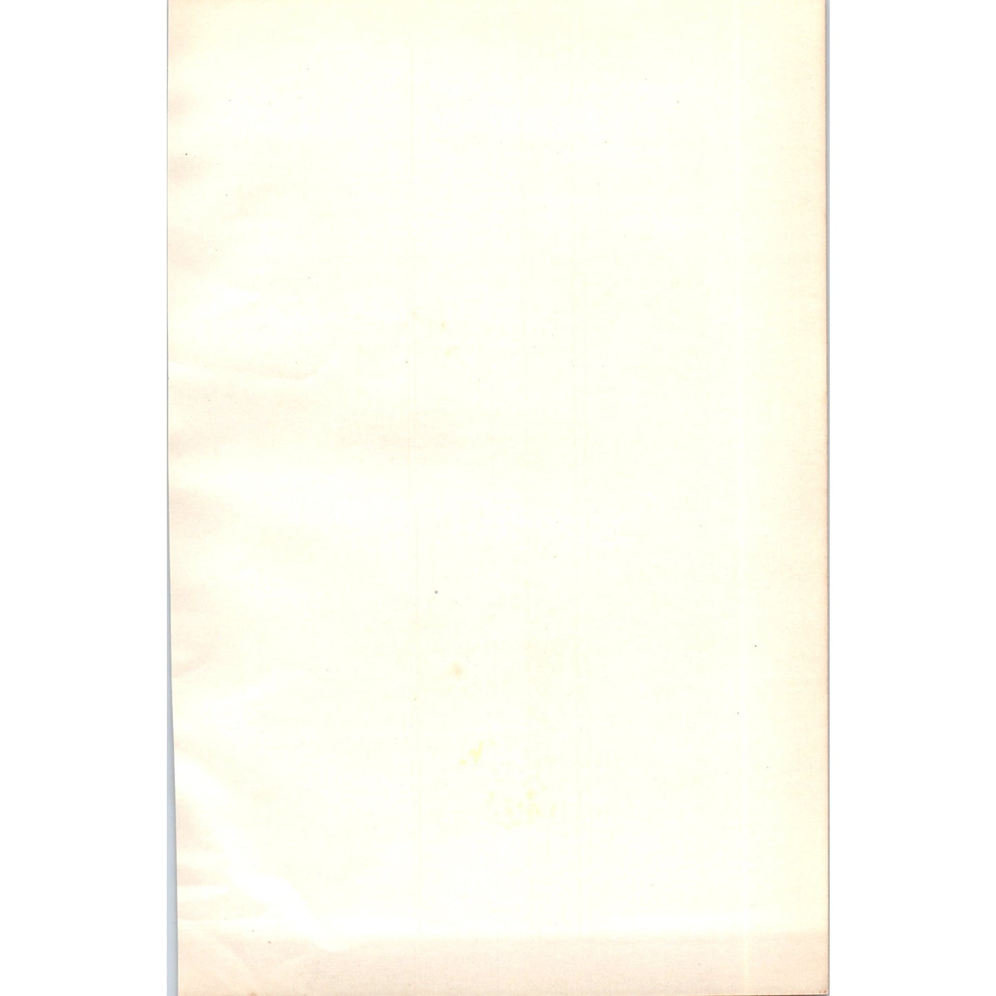 Rock Dove Bird 1903 Original Color Engraving Plate Print AD8-B1