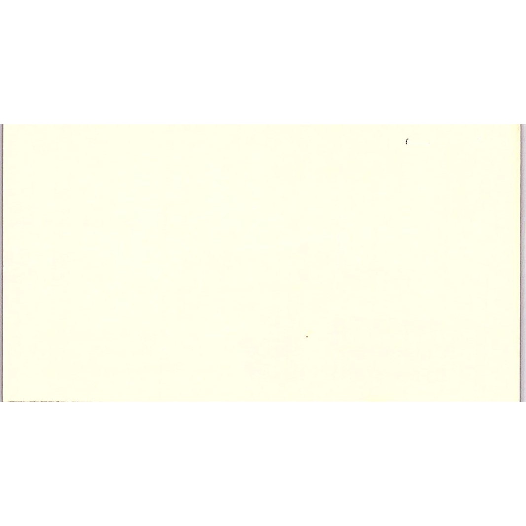 TnT Crane & Rigging Inc Troy Lambert Houston Vintage Business Card SD9-B13