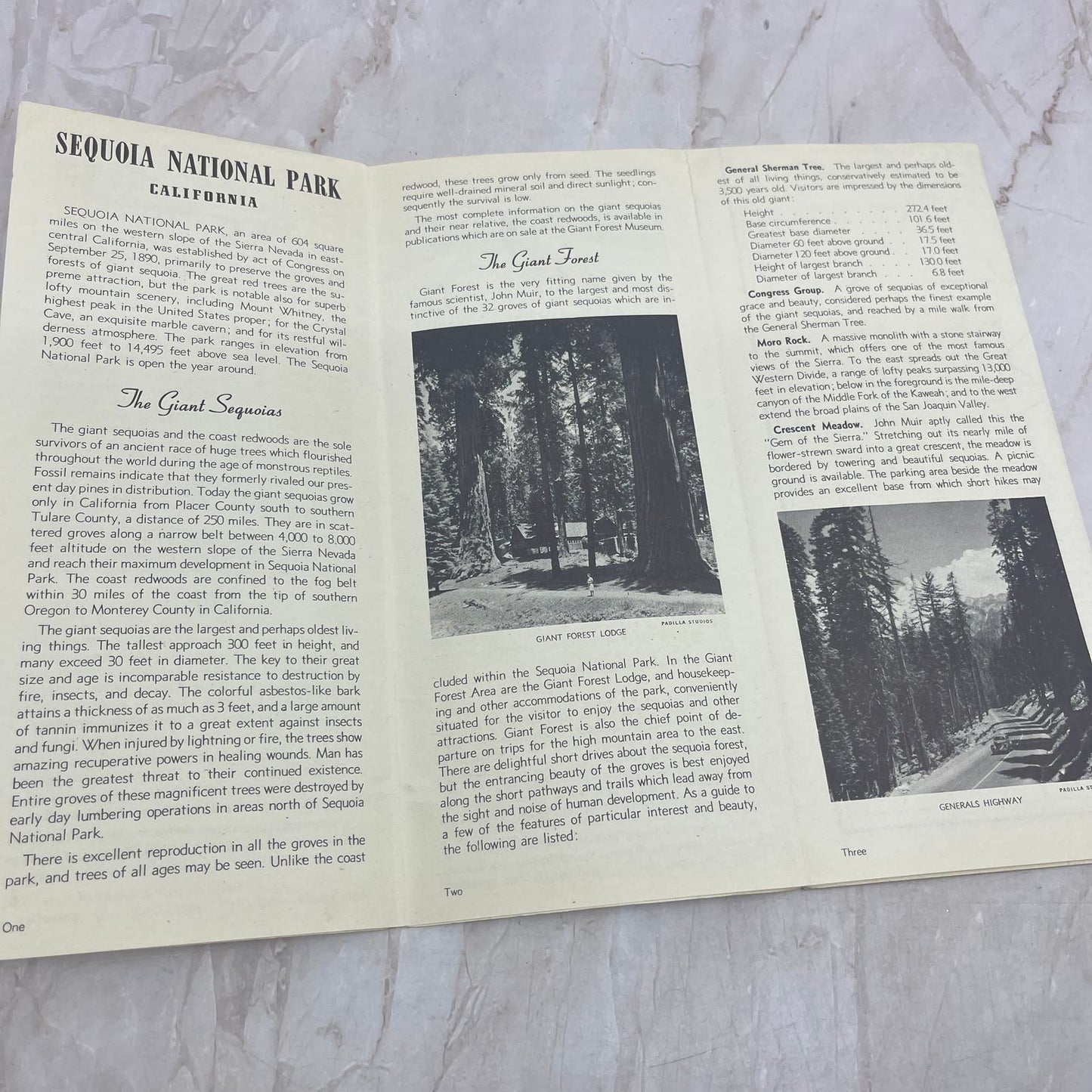 1942 Sequoia National Park Travel Brochure & Fold Out Map AE7