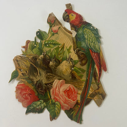 1880s Embossed Victorian Die Cut Parrot Feeding Babies Pink Roses 6 x 4” SAH9-H7