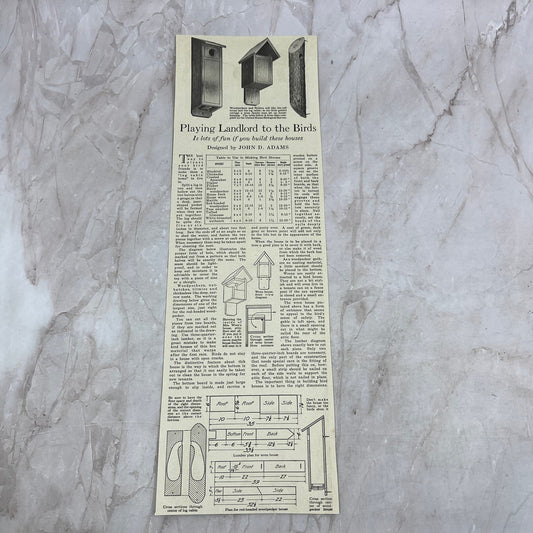 Building Bird Houses John D. Adams 1918 Magazine Ad FL6-10