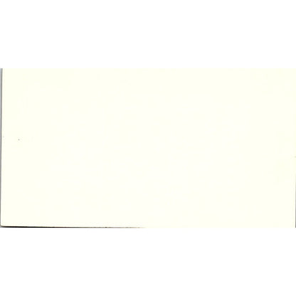 Capt Felix Cestaro A. Bottacchi S.A. Buenos Aires Vintage Business Card SC9-B2