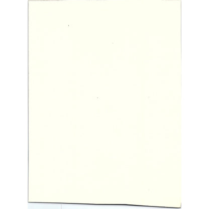 Charity, Painting by Abbott Thayer Antique Art Print 6x9 V4