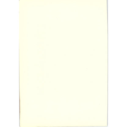 The Listening Servant - Maes - 1908 Litho Art Print AF5-5