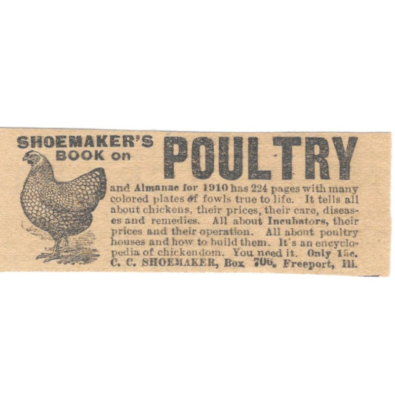 C.C. Shoemaker Poultry Freeport IL 1910 Magazine Ad AF1-SS8