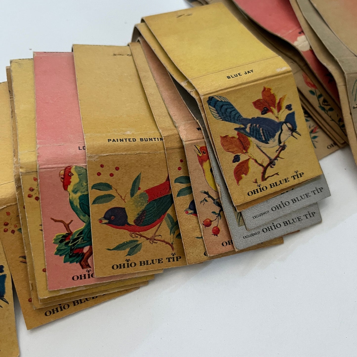 Huge Lot of Vintage Ohio Blue Tip Nature Matchbook Match Covers Bird Flower TF9