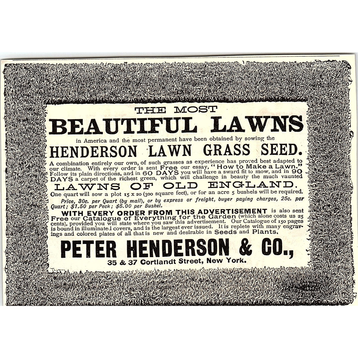 Peter Henderson & Co Lawn Grass Seed New York 1892 Ad AG2-H6