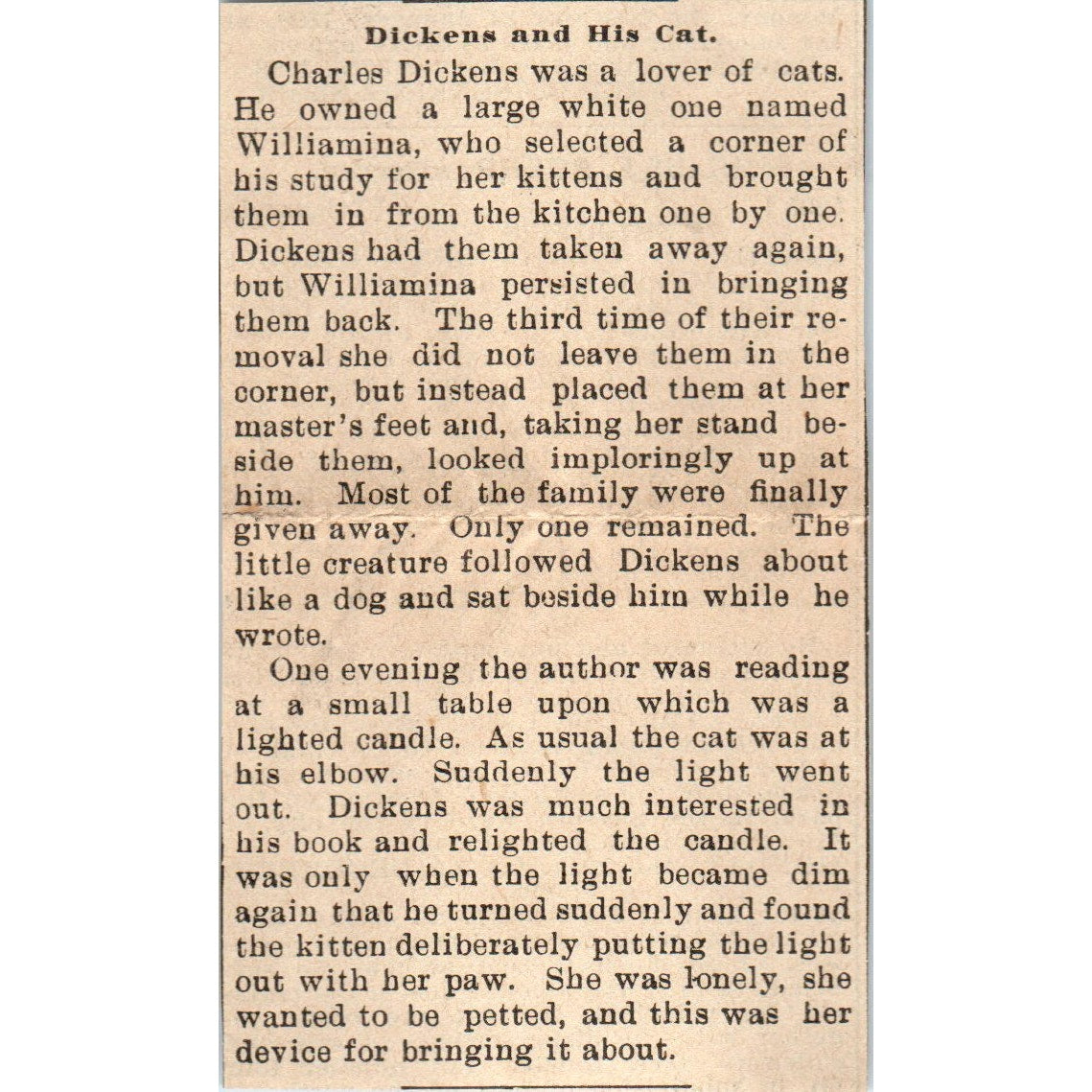 Charles Dickens and His Cat Milwaukee 1898 Newspaper Clip AF7-E12