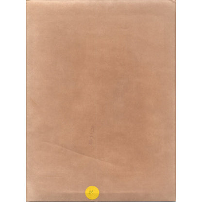 Caroline Kennedy in Knoxville TN 1972 8x10 Original Press Photo D1-P-2