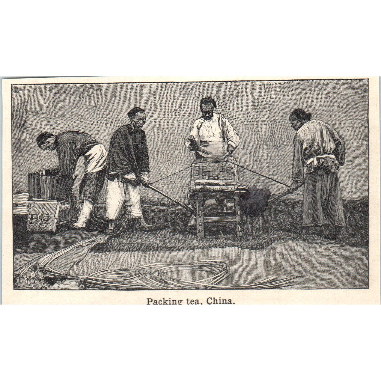 Packing Tea in China 1901 Engraving AF2-A6