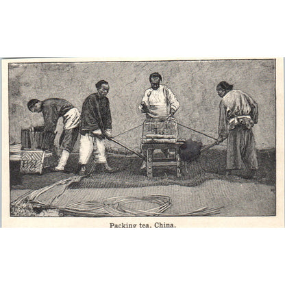 Packing Tea in China 1901 Engraving AF2-A6