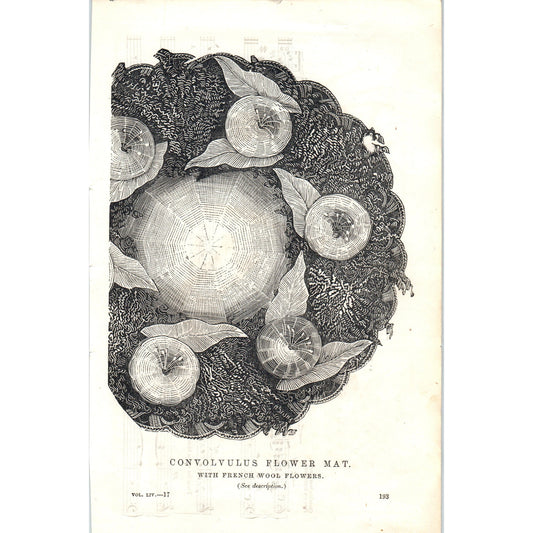 Convolvulus Flower Mat w/ French Wool Flowers 1857 Original Engraving D19-5