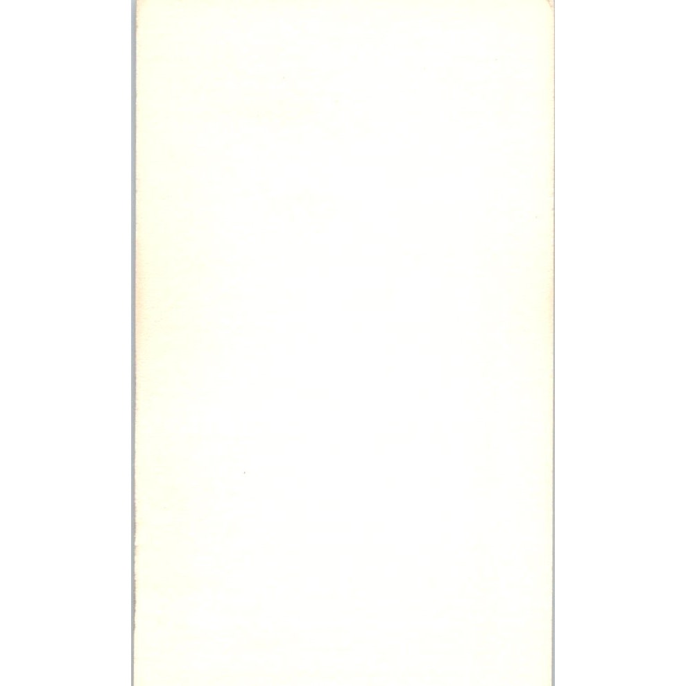 Allen Nichelini Walker & Lee Real Estate Cerritos Vintage Business Card SD4-B5