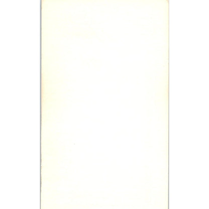 Allen Nichelini Walker & Lee Real Estate Cerritos Vintage Business Card SD4-B5