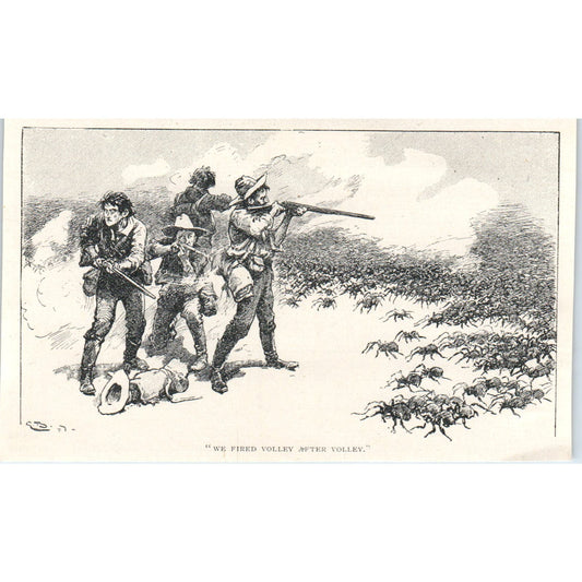 Western Cowboys Shooting at Giant Spiders 1897 Victorian Illustration AE9-TS4