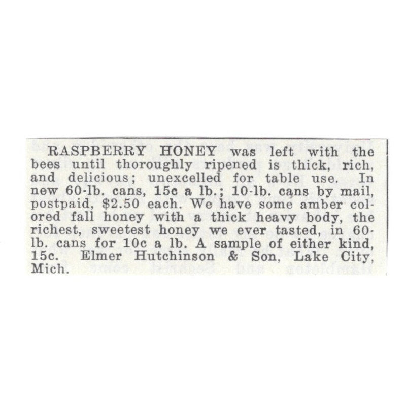 Elmer Hutchinson & Son Raspberry Honey Lake City Michigan 1926 Ad AG3-S22