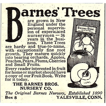 The Barnes Bros Nursery Co Trees Yalesville CT 1924 Ad AG3-S18