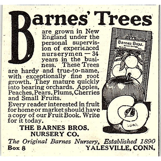The Barnes Bros Nursery Co Trees Yalesville CT 1924 Ad AG3-S18