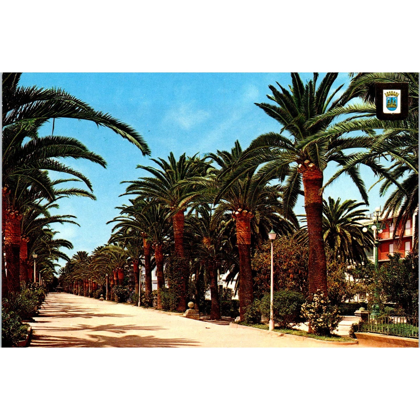 Jerez De La Frontera Cadiz Plaza De Los Reyes Catolicos Vintage Postcard PD1