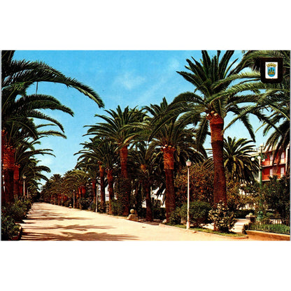 Jerez De La Frontera Cadiz Plaza De Los Reyes Catolicos Vintage Postcard PD1