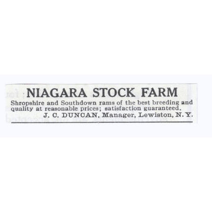 Niagara Stock Farm J.C. Duncan Lewiston NY 1913 Magazine Advertisement AE7-N8