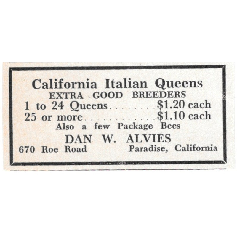 California Italian Queens Dan W. Alvies Paradise CA 1961 Magazine Ad AB6-S13