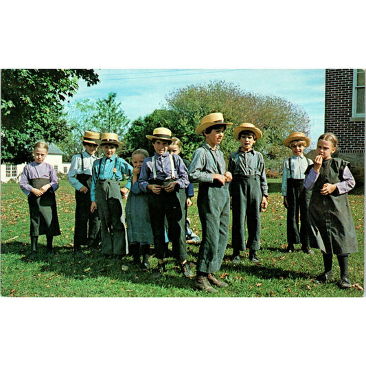 Amish Children During Recess at School Pennsylvania Dutch Country Postcard PD8