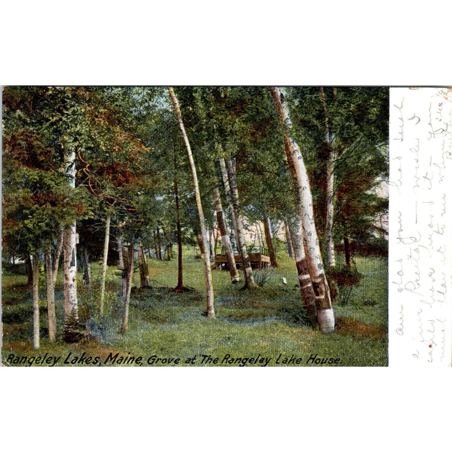 c1905 Grove at Rangeley Lakes House Maine Original Postcard PC10