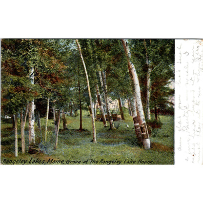 c1905 Grove at Rangeley Lakes House Maine Original Postcard PC10