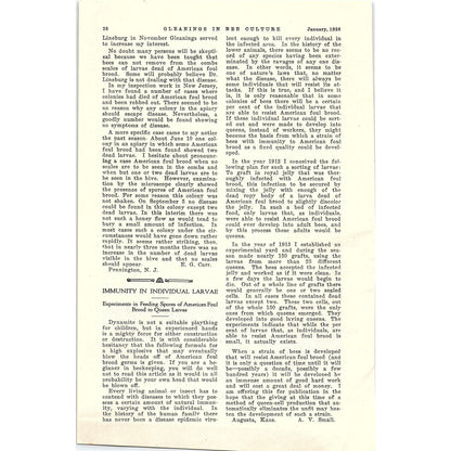 From The Field of Experience Honey in the Home Doris W. McCray 2 Page 1926 AG3-9