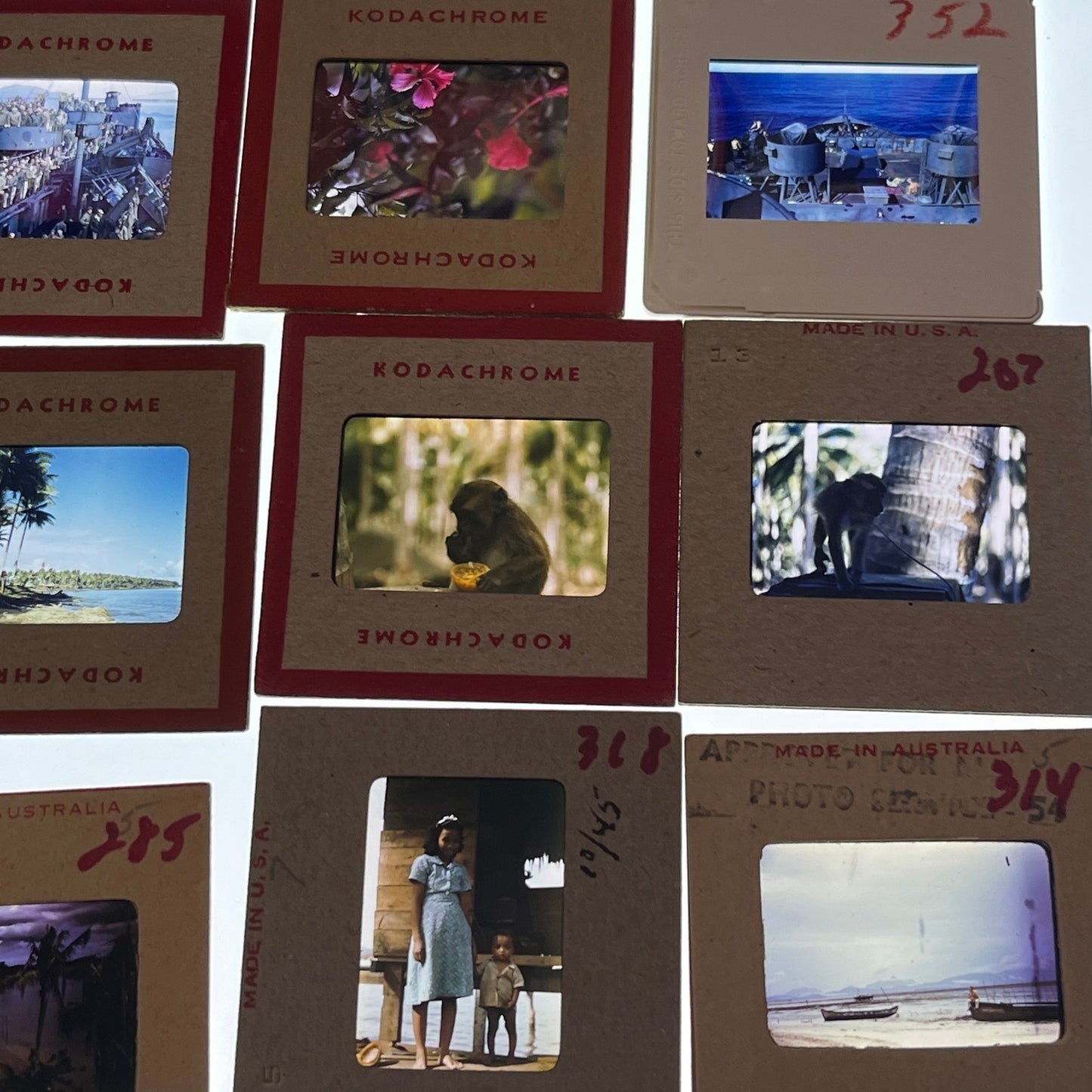 WWII 1945 - 28 Slides of United States Soldier Around the Philippines TB8-SL1